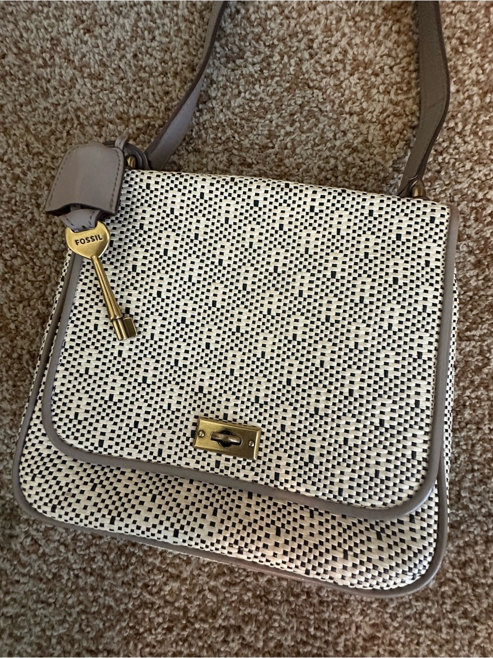 Fossil Woven Cream and Black Crossbody with Gold Accent